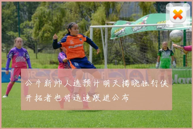 公牛新帅人选预计明天揭晓独行侠开拓者也将迅速跟进公布